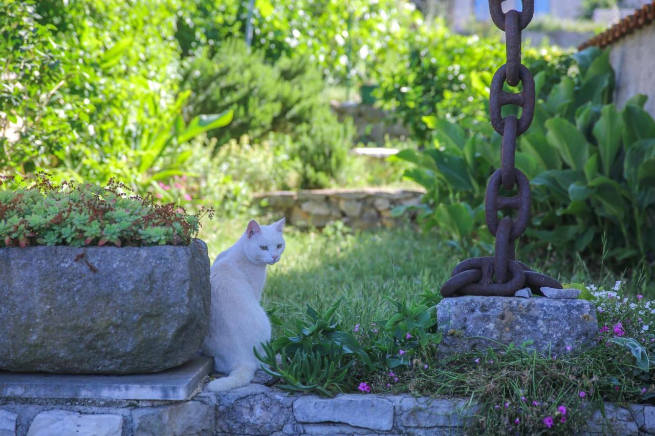 Artistic Summer House Marinovic With Garden&Bbq San Pietro di Brazza Esterno foto